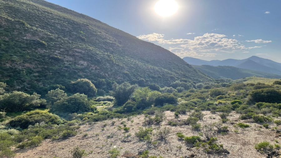 Commercial Property for Sale in Montagu Rural Western Cape